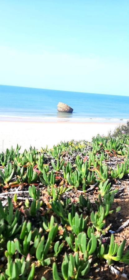 Caracola Beach Matalascañas Εξωτερικό φωτογραφία